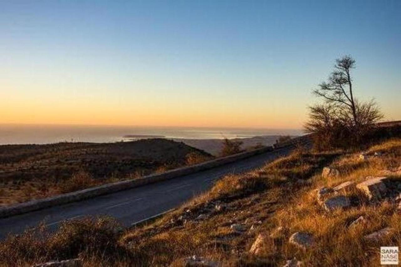 Studio En Bord De Mer كانيو سور مير المظهر الخارجي الصورة